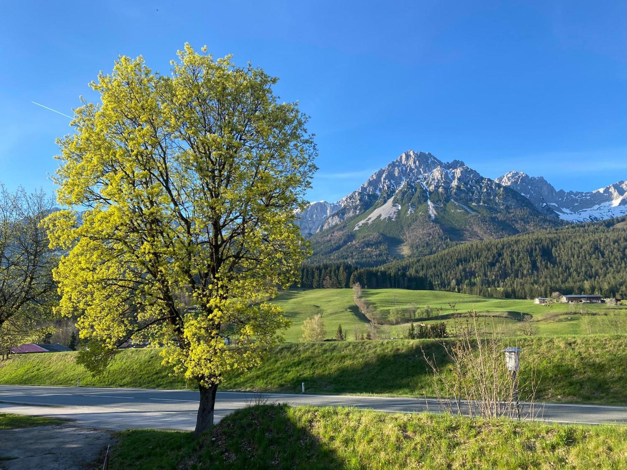 Appartamento Haus Gaberhel Ellmau Esterno foto